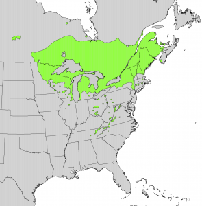 Thuja_occidentalis_range_map