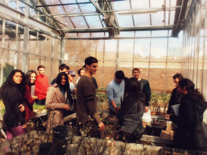 Plant Ecology students in the greenhouse