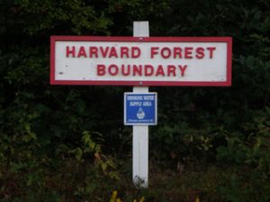 Harvard Forest Sign