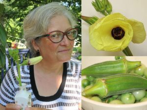 Dawn with okra