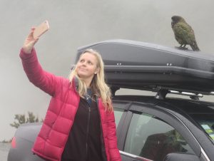 Biologist, Dr. Victoria Metcalf with a kea, New Zealand's rare alpine parrot