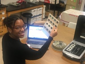 Biology research practicum student, Cheyenne, digitizes selected slides of fieldwork from the 1970s and 1980s.
