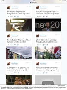 Some of my Storify stories as seen on my now defunct webpage