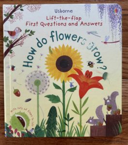 Cover of How Do Flowers Grow by Katie Daynes, illustrated by Christine Pym